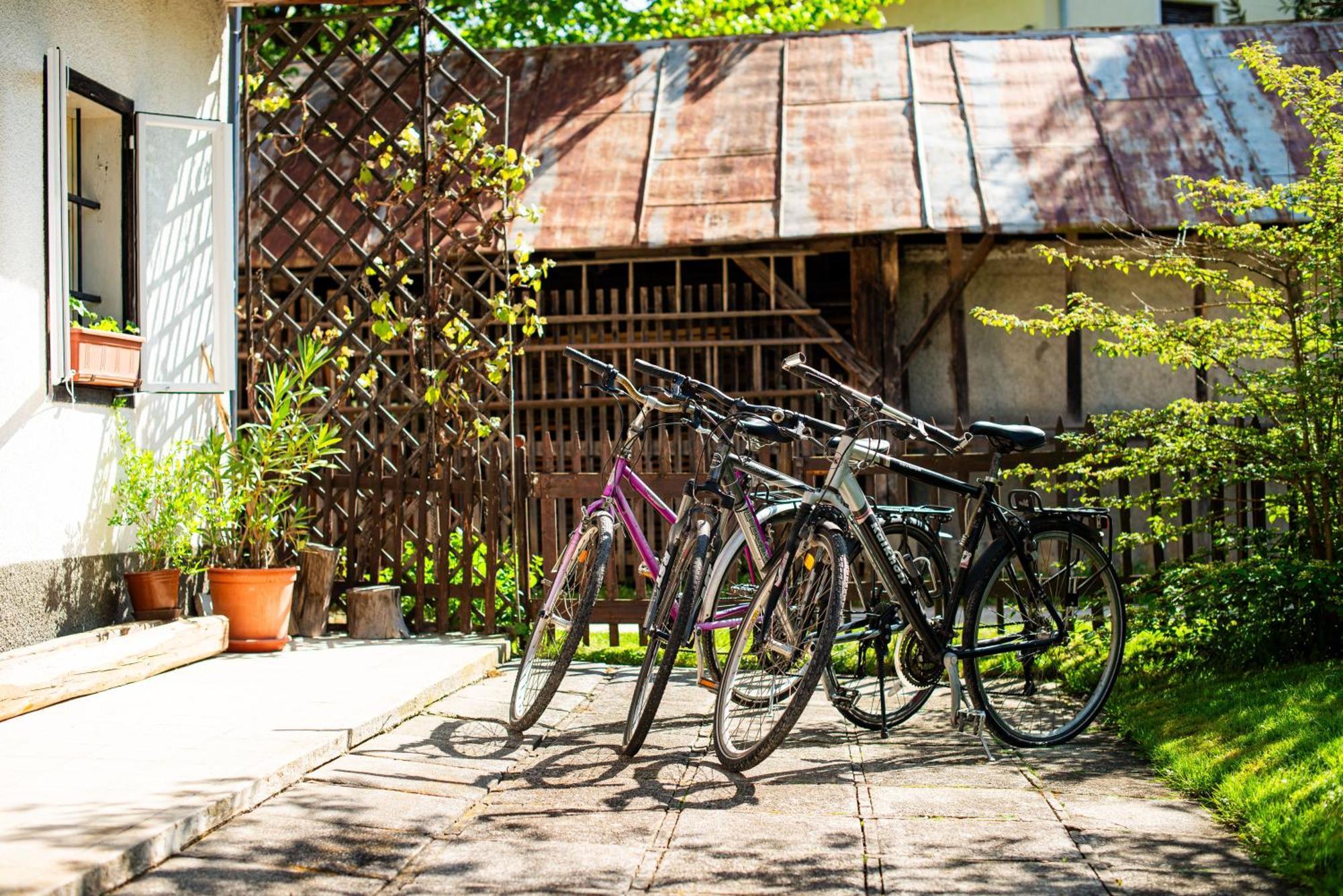 House, Garden And A Green Cat Bled Ngoại thất bức ảnh