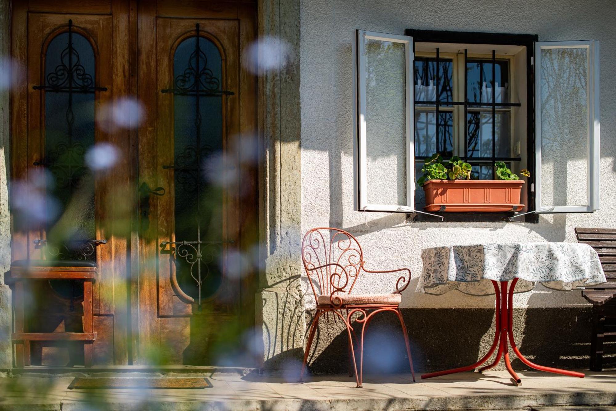 House, Garden And A Green Cat Bled Ngoại thất bức ảnh